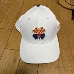 Item thumbnail for item 06a3686d-8043-419b-abda-e420b6ca7bf4