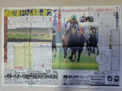 ディープインパクト　ジャパンカップ　日刊スポーツ　新聞　2006年11月27日
