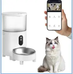 Item thumbnail for item 52857ec5-3031-497c-816c-f1916118bcd4