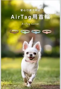 Item thumbnail for item 5cc369ea-2c8b-4116-ad32-adbe09633575