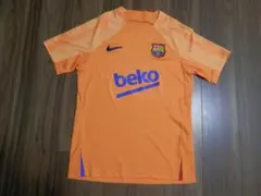 Item thumbnail for item 6ced2951-23a2-4c48-b849-36d92be5ec38