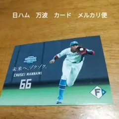 最終値下　北海道日本ハムファイターズ　日ハム　66　万波中正　カード　しゃけまる