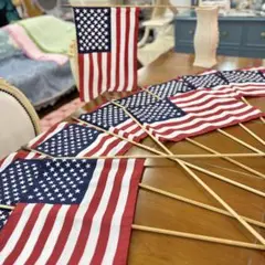 アメリカ国旗 タペストリー 12枚セット アウトレット品