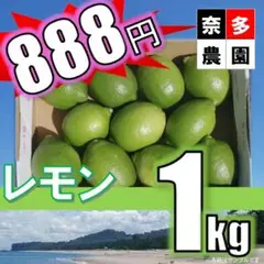 200 グリーンレモン 1.1kg ミックス 奈多農園 国産レモン