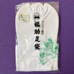 Item thumbnail for item c0ee2265-c0ca-470a-b338-78343a3dc9dd