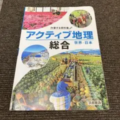 浜島書院　アクティブ地理　総合