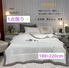 YNING セミダブル 180×220cm 肌掛け布団 ホワイト×グレー