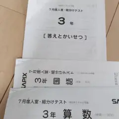 SAPIX 3年 7月度入室・組分けテスト2025.7.6　サピックス