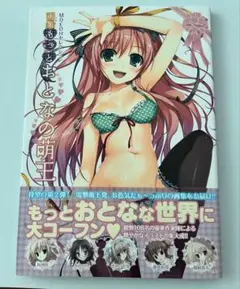 「もっとおとなの萌王 画集」