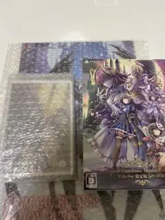 PS5版グリムガーディアンズ あみあみ限定版　キャラファイングラフ付き