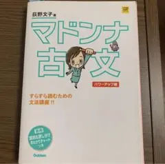 （最終価格）マドンナ古文 パワーアップ版