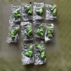 Item thumbnail for item e5c5a238-b0e2-47f1-9cef-3440d9284aba