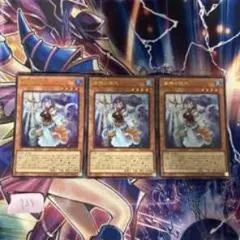 霊獣使いウィンディ 3枚セット