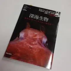 【書籍図鑑】深海生物 ゆかいでヘンテコないきもの DVD付 石垣幸ニ 阿部秀樹