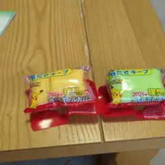 伊藤園　ポケモン ペットボトルカバー 2024年　2個セット