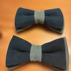 Item thumbnail for item dd409a89-291a-4152-ba61-4ee06c0fc7d6