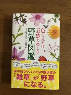 色で見わけ五感で楽しむ野草図鑑