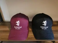 Item thumbnail for item 8a1e4163-3555-477b-9144-3a93a4714ee3