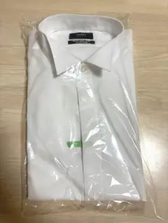 Item thumbnail for item f5d9f8d4-19b0-42c5-9bf9-0545f25ee48a