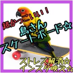 鳥さんスケボー バードトイ スケートボード インコ 小鳥 おもちゃ