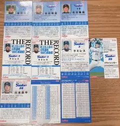 プロ野球チップスカード2006〜2010 東京ヤクルトスワローズ 10枚セット
