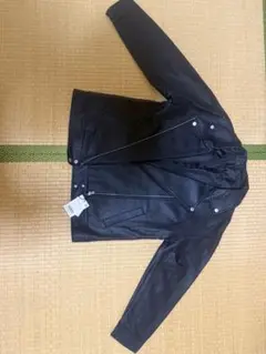 Item thumbnail for item 4d11c7cc-0a02-408d-a454-3faa8eb2dbef