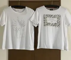 エヴェックスバイクリツィア フロント柄 半袖Tシャツ 2枚セット / 42 白