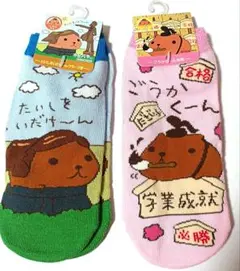 カピバラさん　靴下　2足セット　22-24cm　22-25cm　新品　未使用