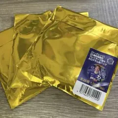 サンフレッチェ広島　ビッグホログラム缶バッジ　新品未開封　3点　勝利時限定