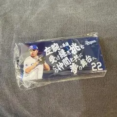 中日ドラゴンズ 大野雄大 応援歌キーホルダー