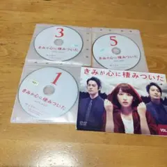 きみが心に棲みついた vol.1~5 DVD 全巻 セット