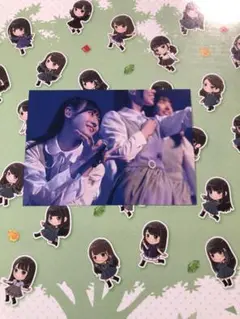 日向坂46 ポストカード
