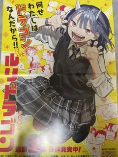 2025年最新】ルリドラゴン ポスターの人気アイテム - メルカリ