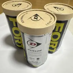 DUNLOP　FORT　２個入り×３缶　TENNIS　BALLS