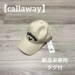 Item thumbnail for item 8e36538f-a585-41c0-861a-c4754c8bae36