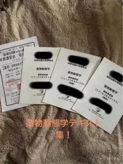 REC 薬剤師国家試験 e-ラーニングコース 実務/薬剤関係法規/毒性学/有機化学等 2022年合格目標セット★ 000L3D REC 薬剤師国家試験 e-ラーニングコース 実務/薬剤関係法規/毒性