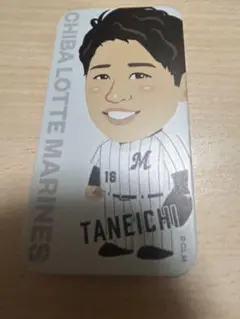 千葉ロッテマリーンズ 種市　スライドケース