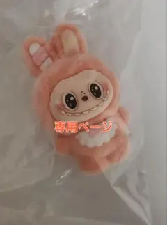 専用ページ
