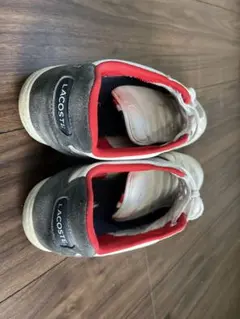 Item thumbnail for item 0ce80a64-3319-4f6d-ac4e-b9705797f44c