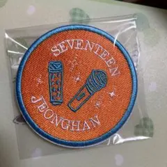 Seventeen ジョンハン ペンライトアクセサリー