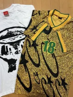 Item thumbnail for item ee6736f7-a02a-4dda-abad-406eb3073f2a