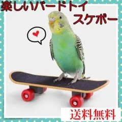 バードトイ 鳥さんスケボー 小鳥 インコ 知育 おもちゃ スケートボード