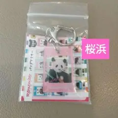 アドベンチャーワールド パンダファミリー　 ガチャ　アクリルキーホルダー　桜浜