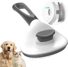 Item thumbnail for item 13793fd5-899a-43ab-b80f-b8429a1062eb