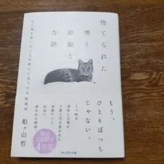 捨てられた僕と母猫と奇跡