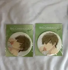 劇場版 Free!FS ビッグ缶バッジ 橘真琴