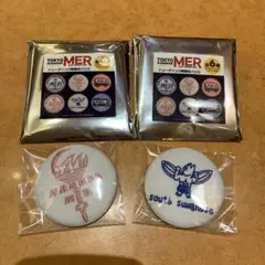 劇場版TOKYO MER〜走る緊急救命室〜南海ミッション刺繍バッジ 2個セット