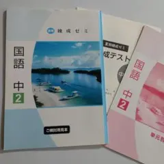 中2国語 夏期練成ゼミ 標準編＋単元別テスト 完成テスト 育伸社 未使用 送料無