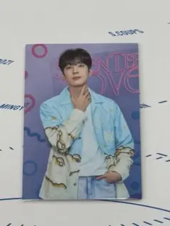 SEVENTEEN LOVE ウォヌ トレカ