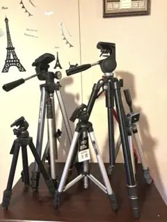 Item thumbnail for item 3b3f2b95-9f67-4c31-afe4-40d574e12f2d